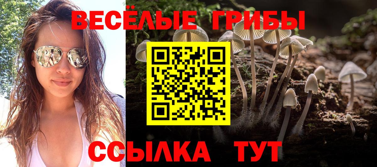 Псилоцибиновые грибы Cubensis  Вход с VPN  цена   Конаково 